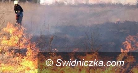 Region: Strażacy przestrzegają przed wypalaniem traw