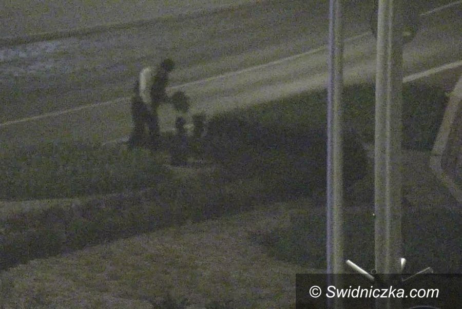 Świdnica: Miłośnik kwiatów