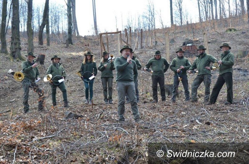 Świdnica/Region: V sadzenie lasu samorządowców i mediów