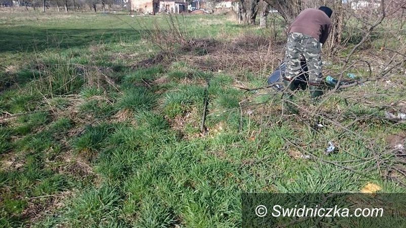 Żarów: Wędkarze dbają o pobliskie stawy