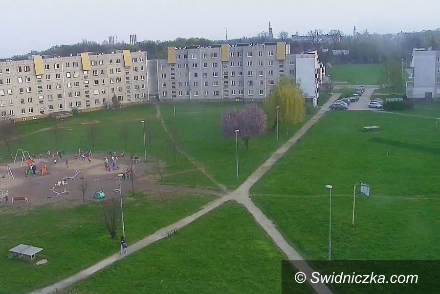 Świdnica: Pamiętaj ! pies to obowiązek i odpowiedzialność