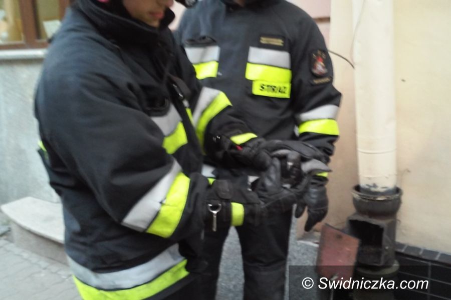Świdnica: W garści, na dachu i w rynnie