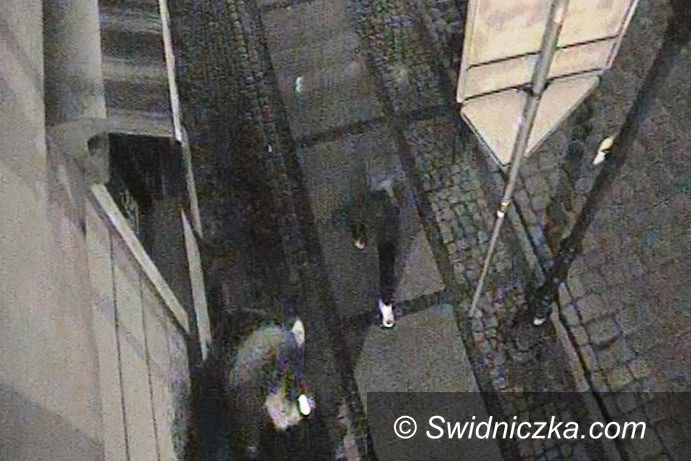 Świdnica: Roślinność miejska pod specjalnym nadzorem