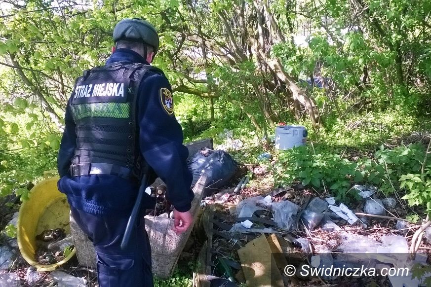 Świdnica: Wiosenne porządki w niewłaściwym wykonaniu