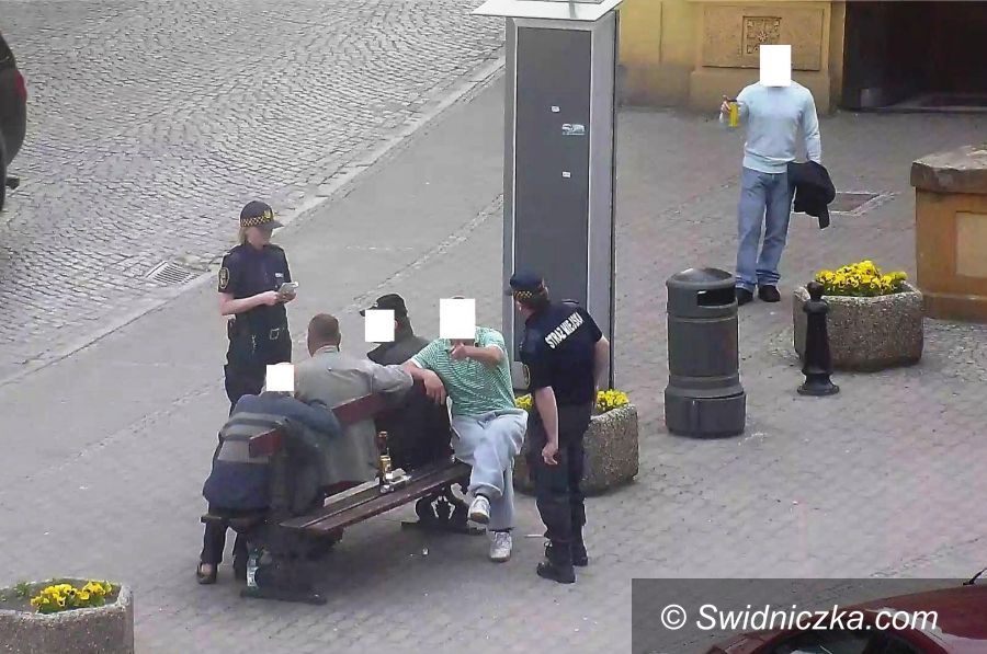 Świdnica: Ławki „Pod Bykami” nie są barem