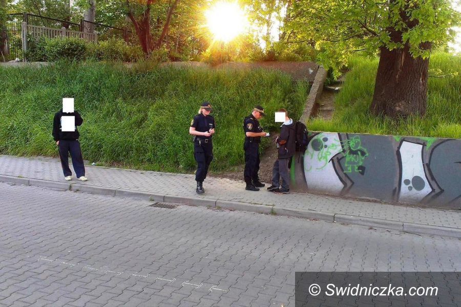 Świdnica: Straż Miejska przeprowadziła akcję pn. „Spokojny Wieczór”