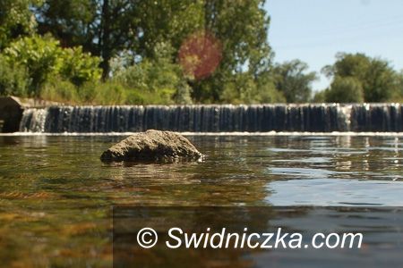 Świdnica: Porządki nad Bystrzycą