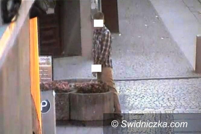 Świdnica: Słaby pęcherz, czy troska o „nawożenie” klombów kwiatowych?