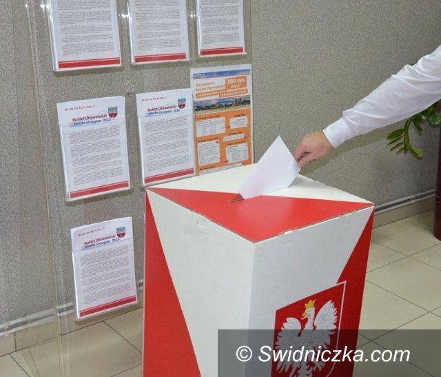 Strzegom: Rusza Budżet Obywatelski 2017