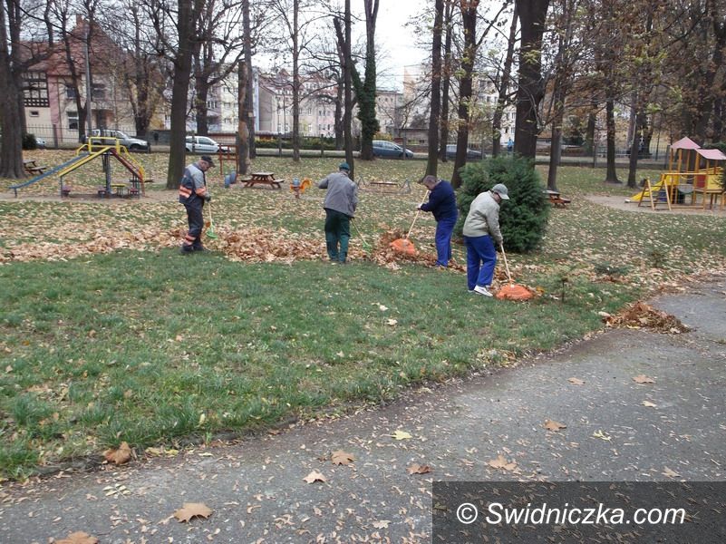 Strzegom: Bezpłatne praktyki zawodowe
