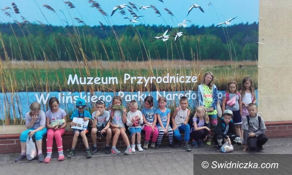 Gmina Świdnica: Dzieci z gminy Świdnica wyjechały nad morze