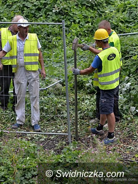 REGION: Ruszyły prace na 65 kilometrze