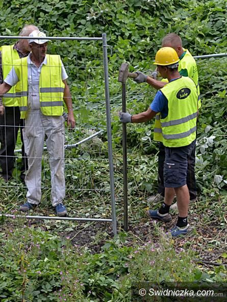REGION: Ruszyły prace na 65 kilometrze