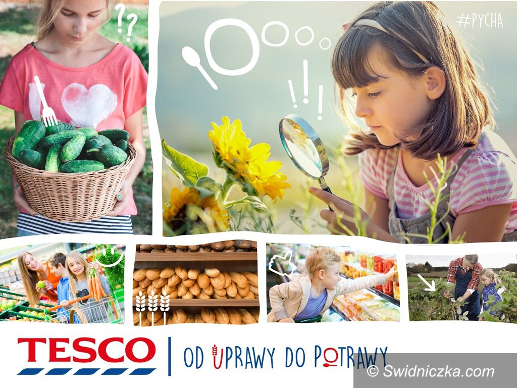 Świdnica: W Świdnicy rusza nowy program dla szkół „Od uprawy do potrawy”