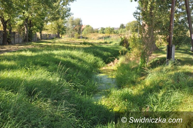 Jagodnik: Ponad pół miliona dla Gminy Świdnica