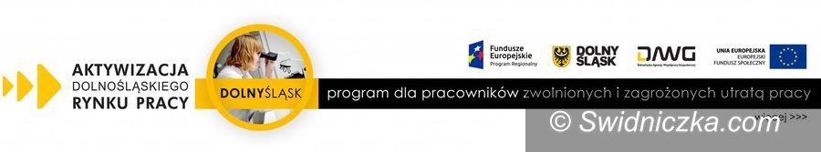REGION: Wsparcie dla firm w ramach unijnego projektu