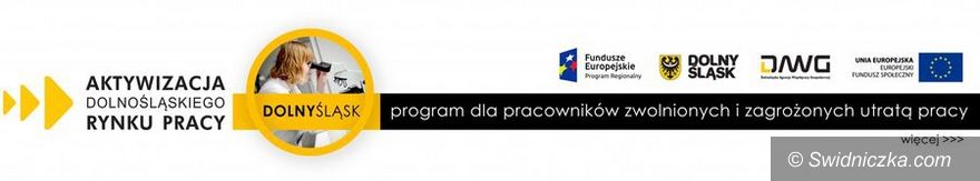 REGION: Wsparcie dla firm w ramach unijnego projektu