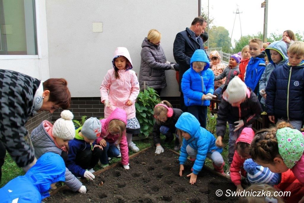 Świebodzice: Pola Nadziei znów wyrosną