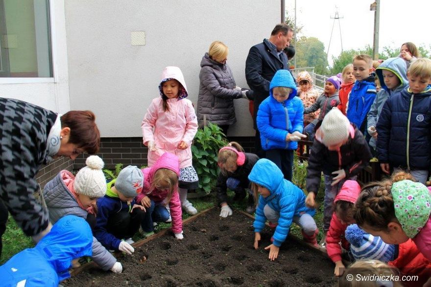 Świebodzice: Pola Nadziei znów wyrosną