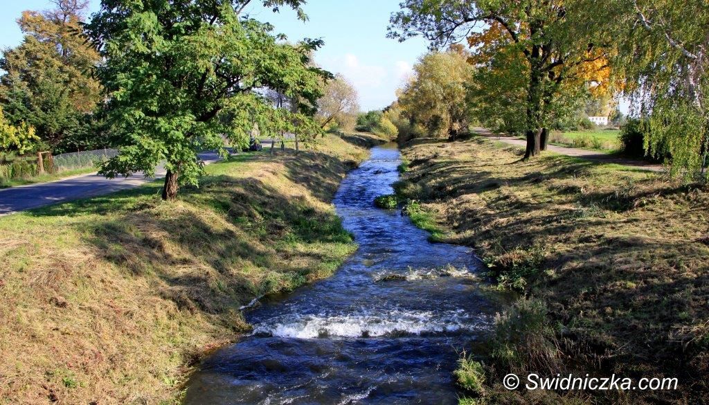 Dobromierz: Strzegomka wykoszona