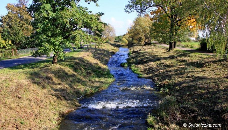 Dobromierz: Strzegomka wykoszona