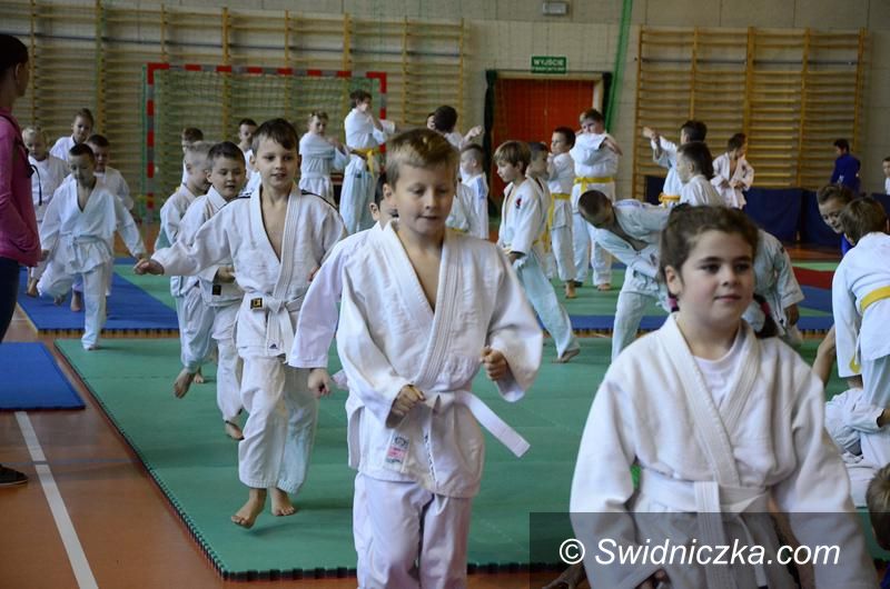 Żarów: Judocy w Żarowie
