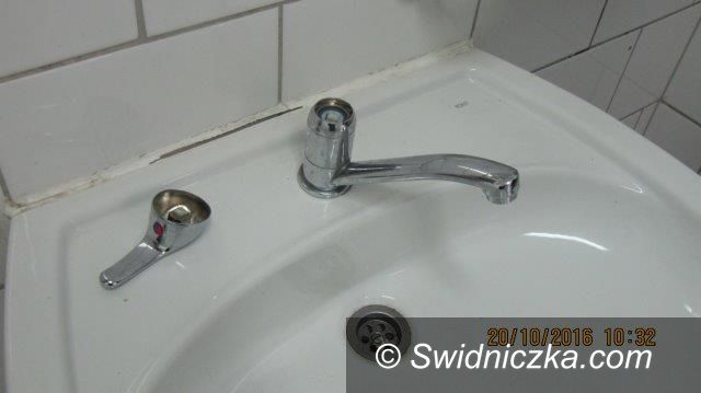 Świebodzice: Wandale zatrzymani