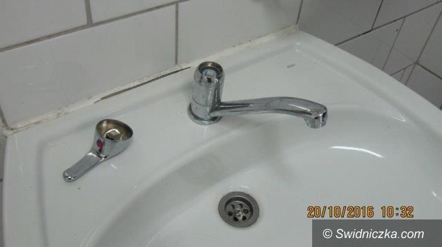 Świebodzice: Wandale zatrzymani