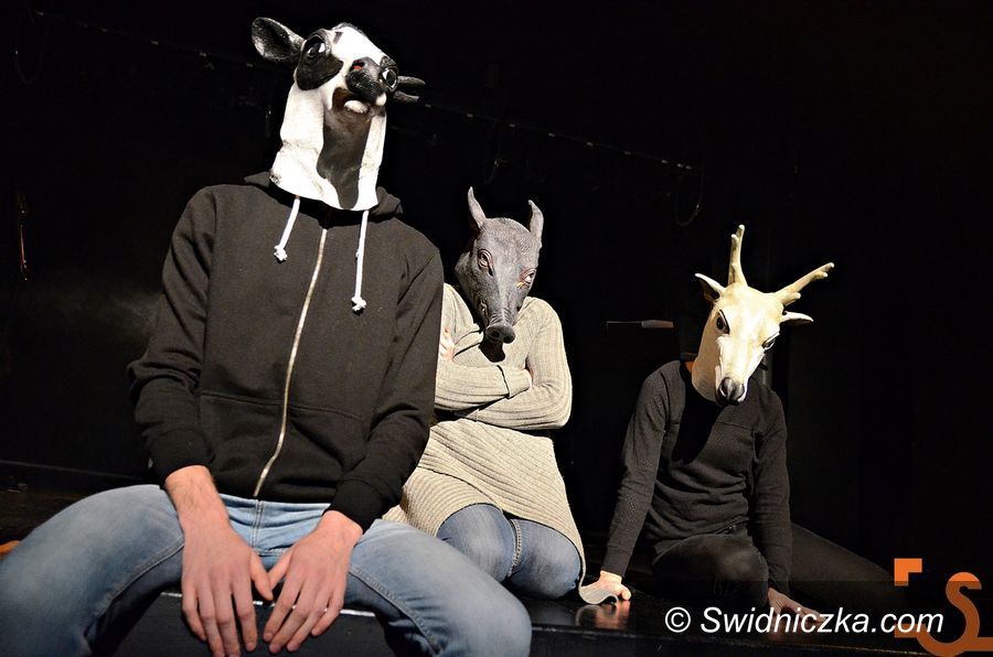 Świdnica: Festiwal SPEKTRUM: dzień 2