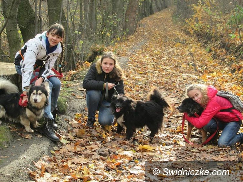 Świebodzice: Mają wielkie serducha
