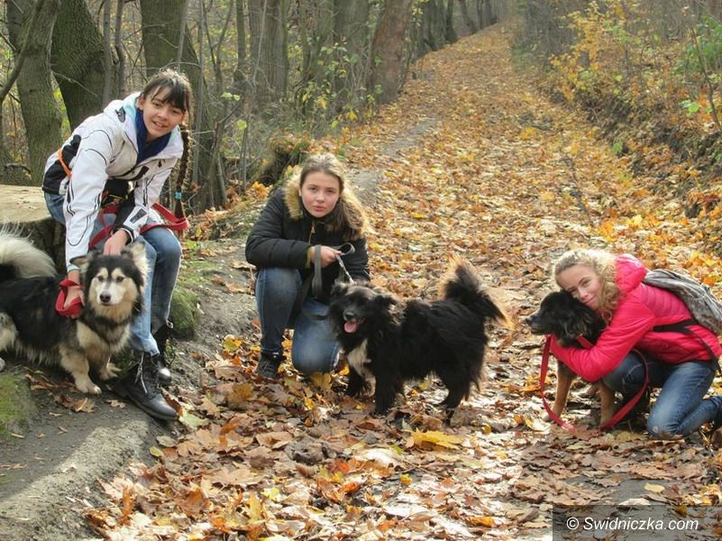 Świebodzice: Mają wielkie serducha