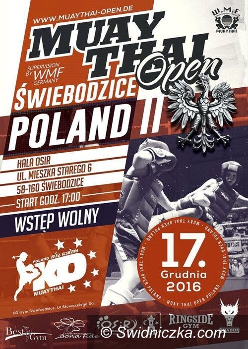 Świebodzice: Bokserska gala po raz drugi