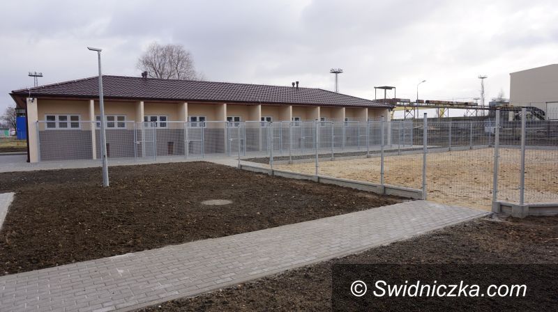 Świdnica: Z nowym rokiem ruszyło schronisko w Świdnicy