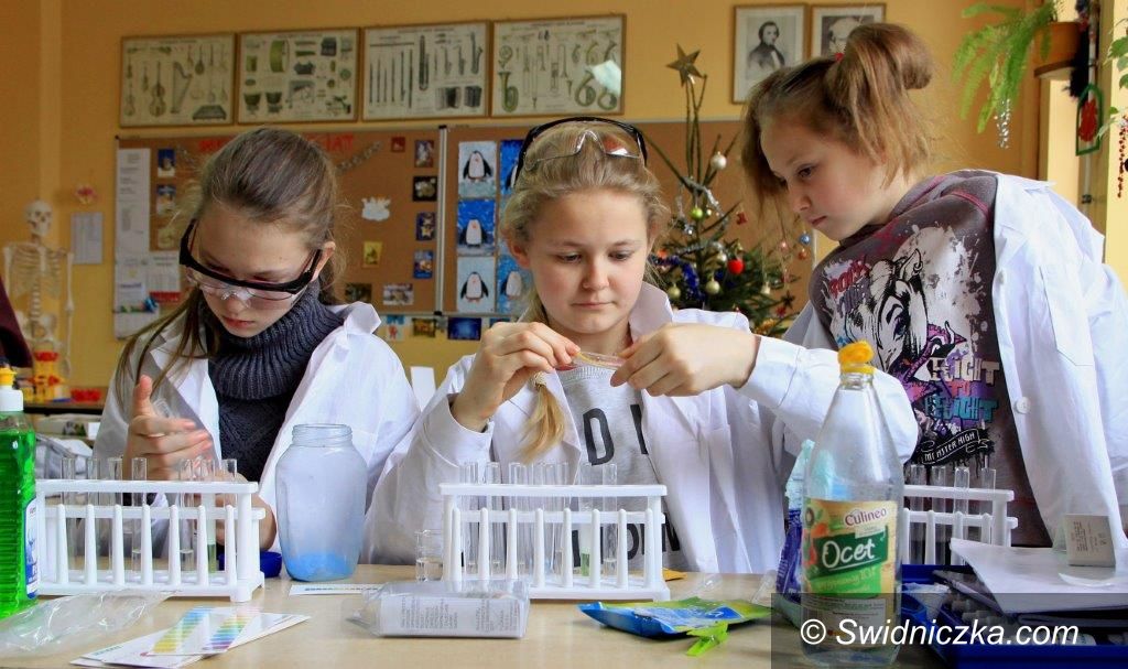 Gniewków/Roztoka: Atrakcyjne zajęcia edukacyjne