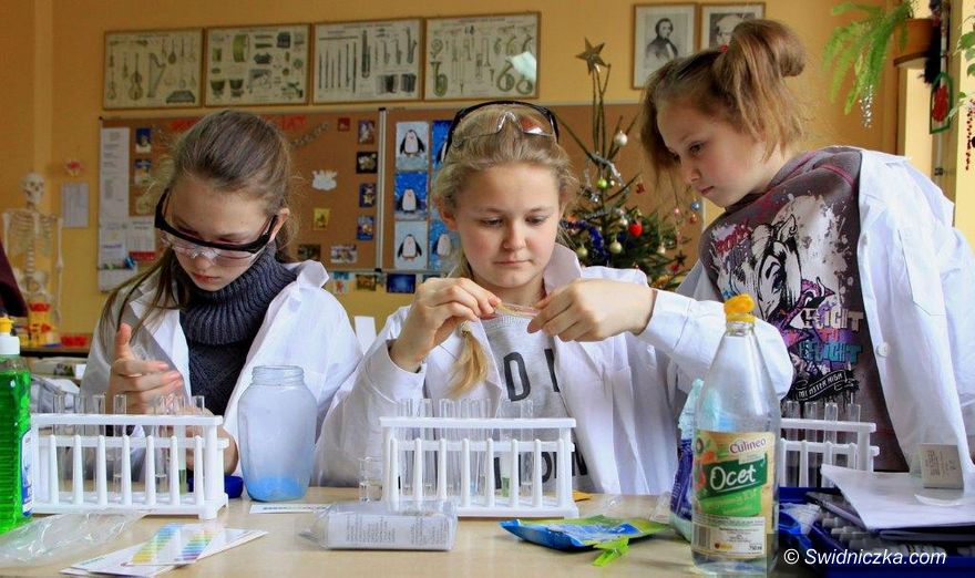 Gniewków/Roztoka: Atrakcyjne zajęcia edukacyjne