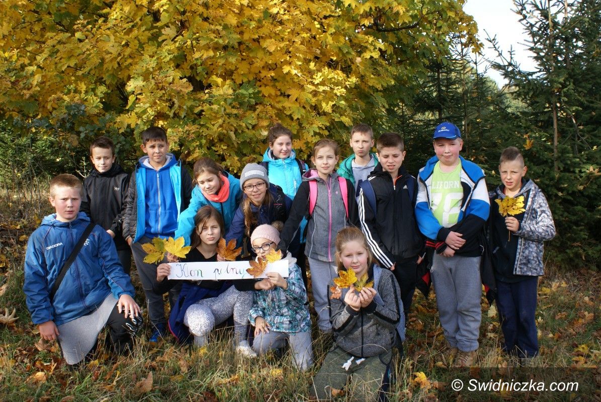 Lutomia Dolna: Minieuroland inspiruje szkołę w Lutomi