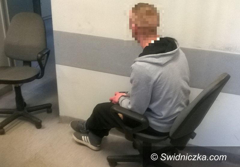 powiat świdnicki: Uprawiał i sprzedawał marihuanę