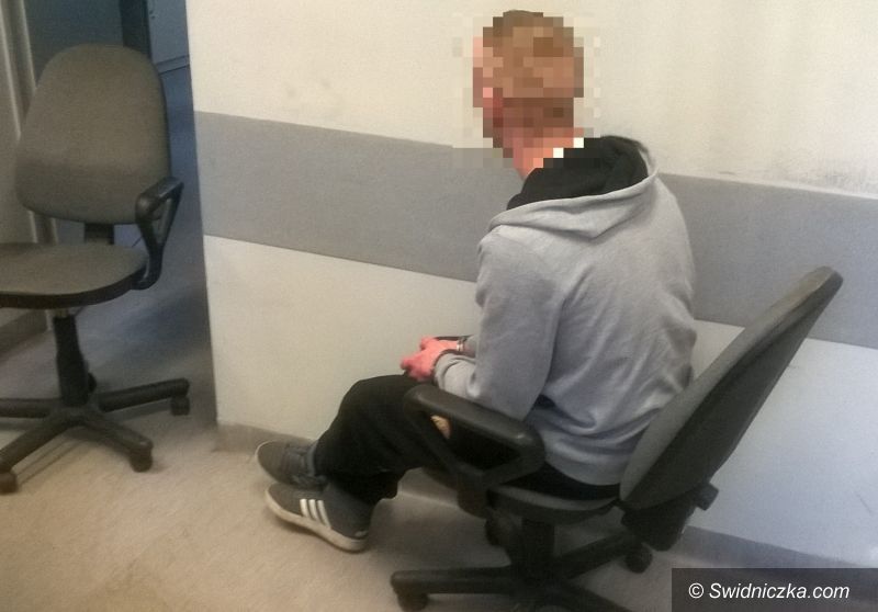 powiat świdnicki: Uprawiał i sprzedawał marihuanę