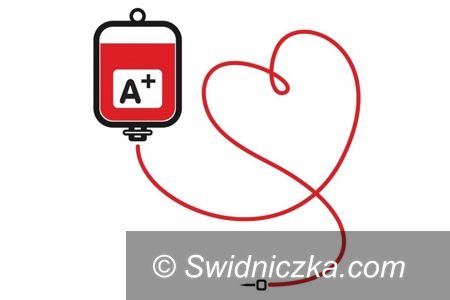 Świdnica: Krew można oddać w Urzędzie Miejskim w Świdnicy