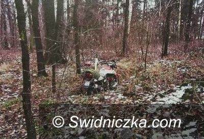 Strzegom: Okradł własnego brata, a „łup” ukrył w lesie