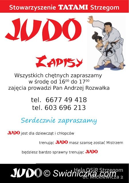 Strzegom: Stowarzyszenie "Tatami Strzegom" zaprasza chętnych