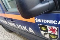 Świdnica: Niebezpieczne, bo bez nadzoru i bez szczepień