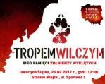 Jaworzyna Śląska: I Jaworzyński Bieg Pamięci Żołnierzy Wyklętych – Tropem Wilczym