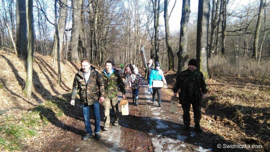 Świebodzice: Ekologiczne budki dla ptaków