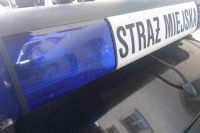 Świdnica: Wypuścił psa bez nadzoru
