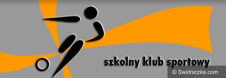 Dobromierz: Weź udział w atrakcyjnych zajęciach sportowych