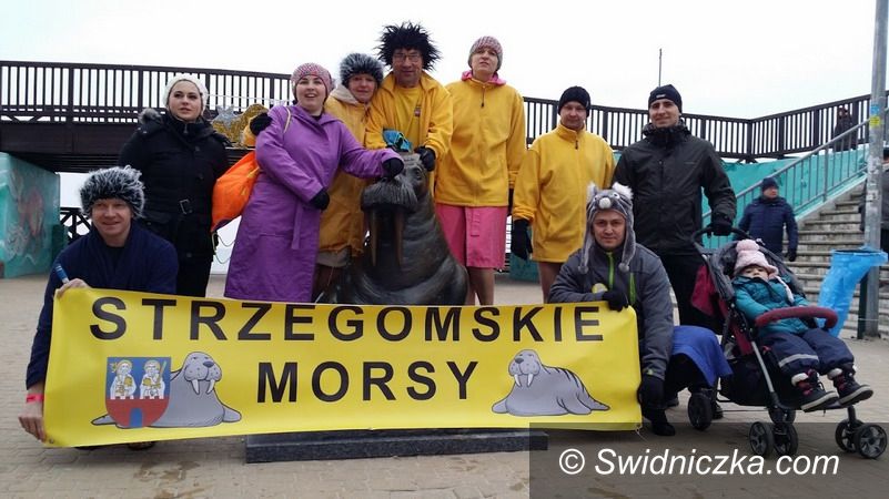 Strzegom: Zimowe aktywności Strzegomskiej Dwunastki