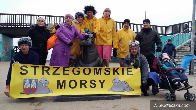 Strzegom: Zimowe aktywności Strzegomskiej Dwunastki