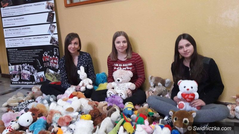 Strzegom: Strzegomscy licealiści zebrali pluszaki dla dzieci