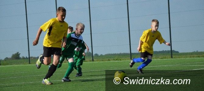 powiat świdnicki: Liga Orlika wznawia rozgrywki